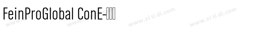 FeinProGlobal ConE字体转换